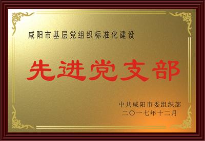 公司黨總支部榮獲“基層黨組織標準化建設先進黨支部”榮譽稱...