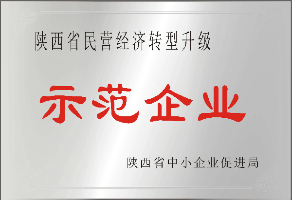 陜西省民營經(jīng)濟轉(zhuǎn)型升級示范企業(yè)