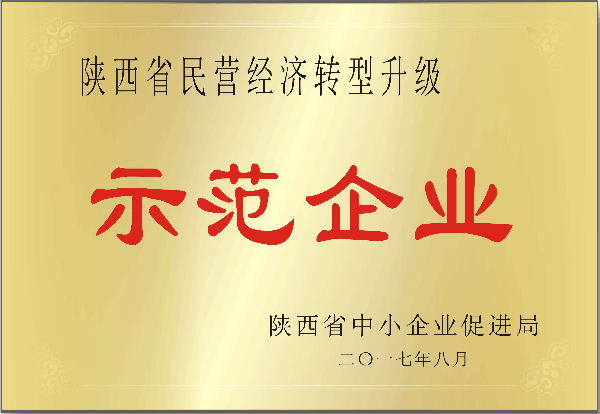 陜西省民營經(jīng)濟轉(zhuǎn)型升級示范企業(yè)