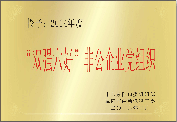 “雙強(qiáng)六好”非公企業(yè)黨組織